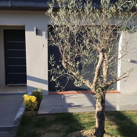 Les 2 Amandiers Villa Laroque-des-Alberes Ngoại thất bức ảnh